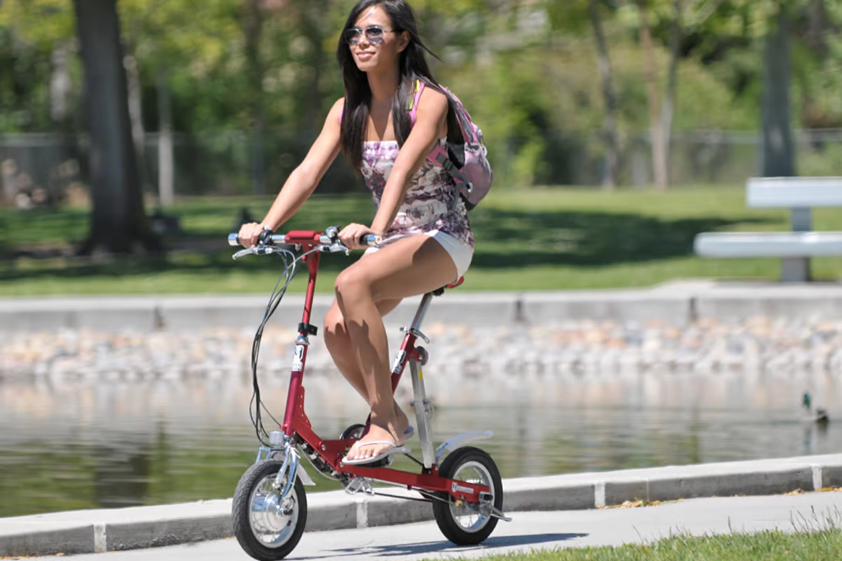 How To Choose Folding Electric Bicycles?插图
