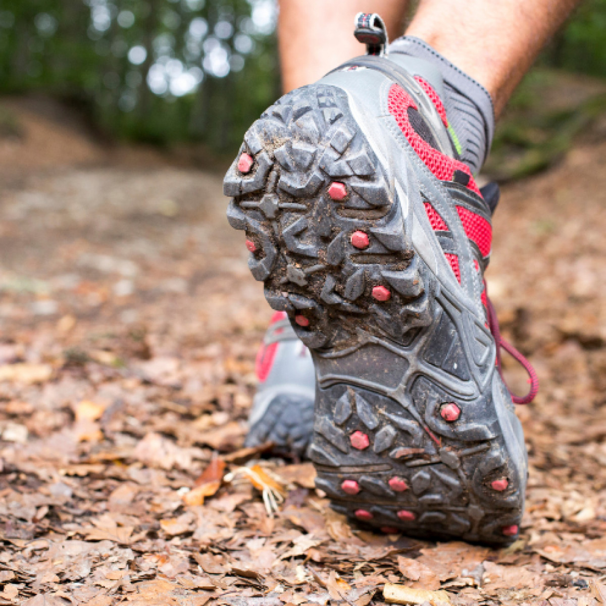 hiking shoes vs hiking boots