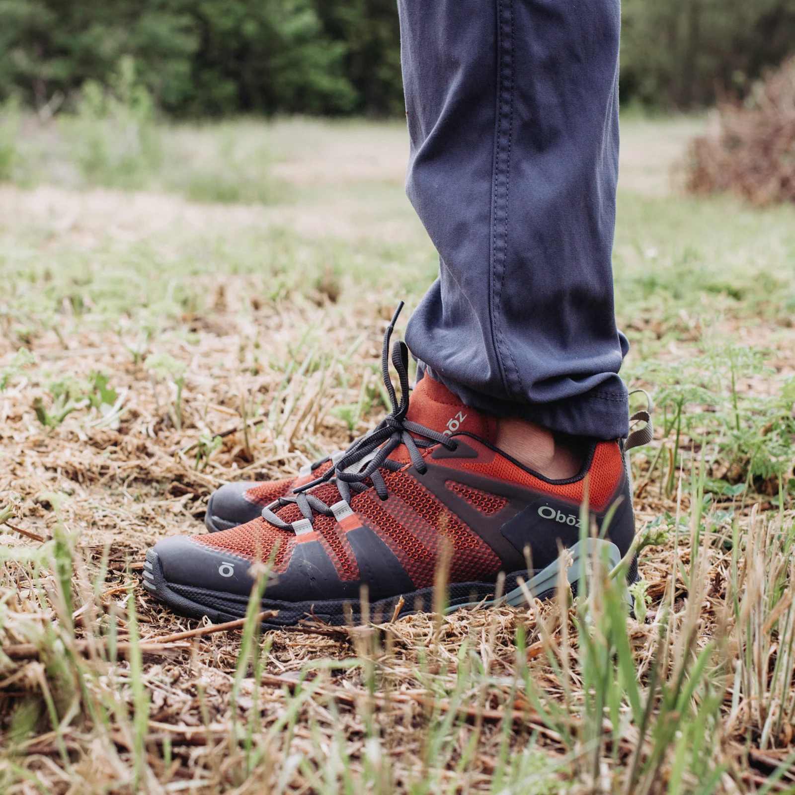 trail shoes vs hiking shoes